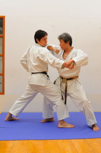 Sensei Fujikiyo Omura