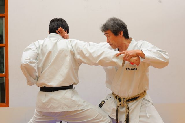 Sensei Fujikiyo Omura